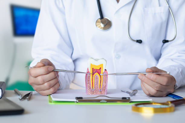 Best Chipped Tooth Repair Near Me  in Rainier, OR